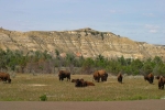 Badlands 8