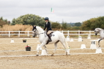 SBM_003582