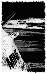 Black & White portfolio