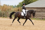 SBM_001991