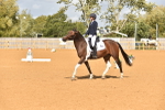 SBM_07721