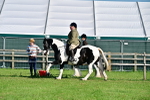 SBM_11407