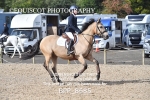 CLASS 5 Pony Discovery / 90cm Open portfolio