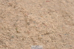 230813A-091822-11178