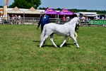 SBM_07815