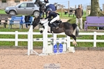 241117X-111836-04268