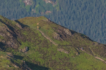 Lords Seat-7