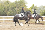 SBM_003992