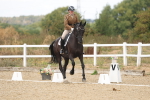 SBM_009743
