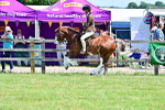 SBM_15294