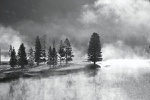 Mist on the river, Grand Teton