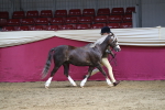 SBM_06531