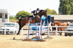 SBM_001835