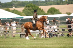 SBM_06965