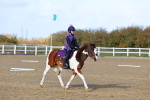 SBM_001156