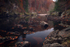 A river runs through it