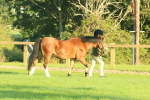 SBM_57318