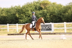 SBM_008479