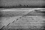 Cross-Bars
