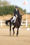 SBM_008241