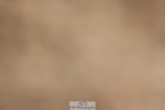 250622-103104-13697