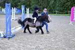 Pony Club Mini Qualifier Sat 11th - Click to Enter portfolio