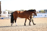 SBM_08360