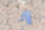 230520A-141048-01494