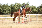 SBM_000196