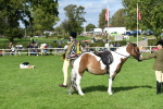 SBM_47133