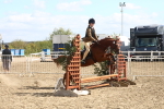 SBM_15201
