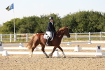 SBM_007051