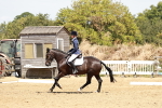 SBM_002532