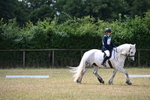 WJ6_3330