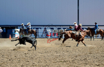 3HRodeo8-11-25_PRCASteer_03196_