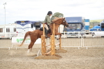 SBM_17852