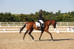 SBM_006848
