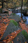 Padley Gorge, Peak District