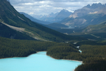 View on Peyto Lake, Jasper NP
