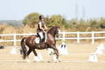 SBM_017374