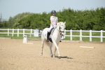 SBM_008980