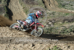 Moto-X_07-03-2015-42