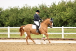 SBM_005356