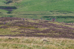 Ennerdale Show-8