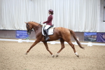 SBM_003444