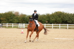 SBM_001908