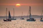 z3462 Round the Island Race at Sunset, Cowes
