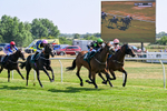 150726-Race 4-The Good Biscuit-3376
