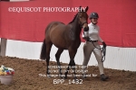 BPP_1432
