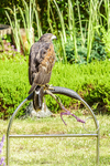 0628 IMG_6636